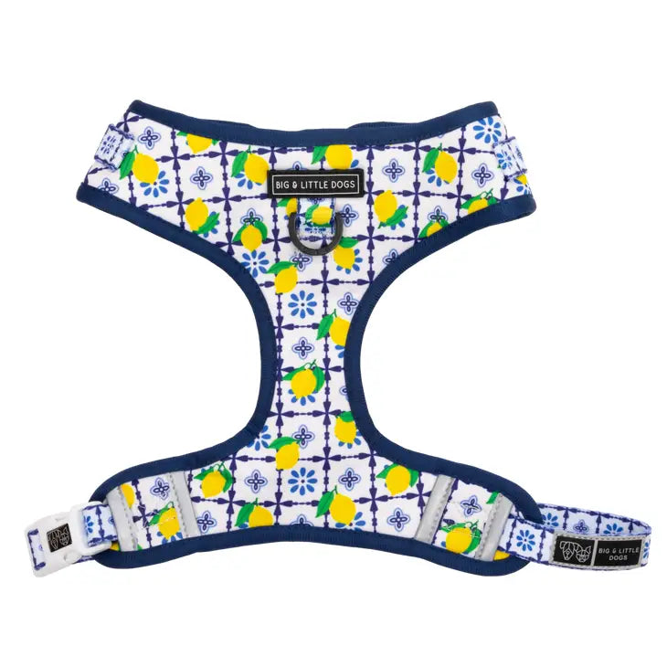 ADJUSTABLE DOG HARNESS: Amalfi Coast