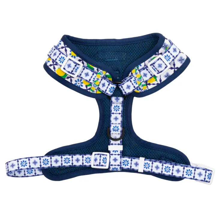 ADJUSTABLE DOG HARNESS: Amalfi Coast