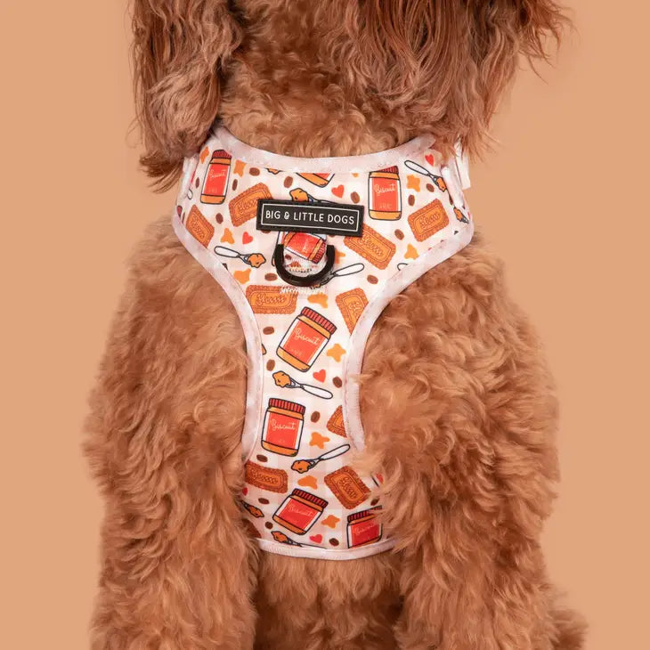 ADJUSTABLE DOG HARNESS: Biswoof Crunch