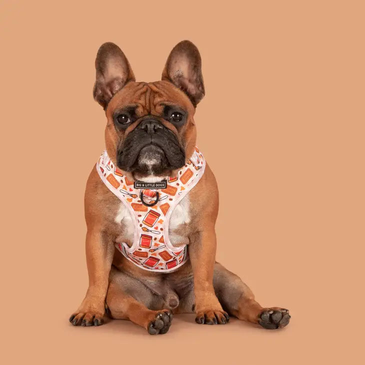 ADJUSTABLE DOG HARNESS: Biswoof Crunch