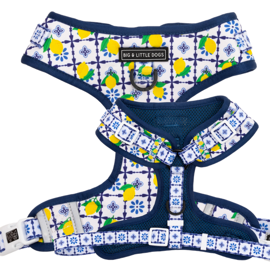 ADJUSTABLE DOG HARNESS: Amalfi Coast