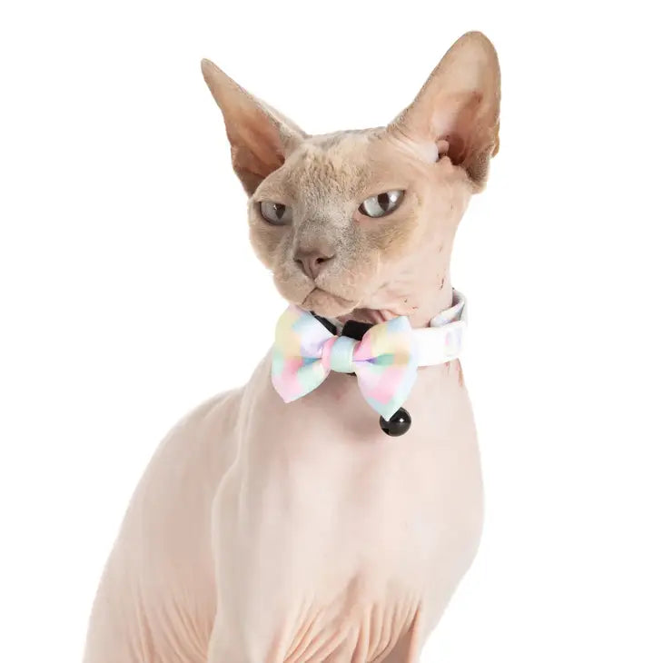 CAT COLLAR & BOW TIE: Gelato