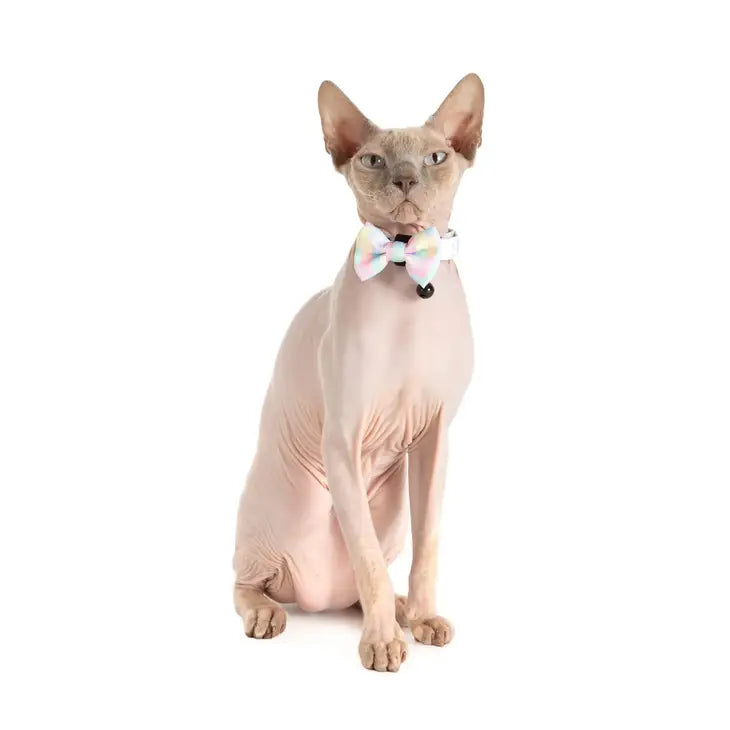 CAT COLLAR & BOW TIE: Gelato