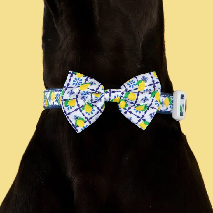 DOG COLLAR & BOW TIE: Amalfi Coast