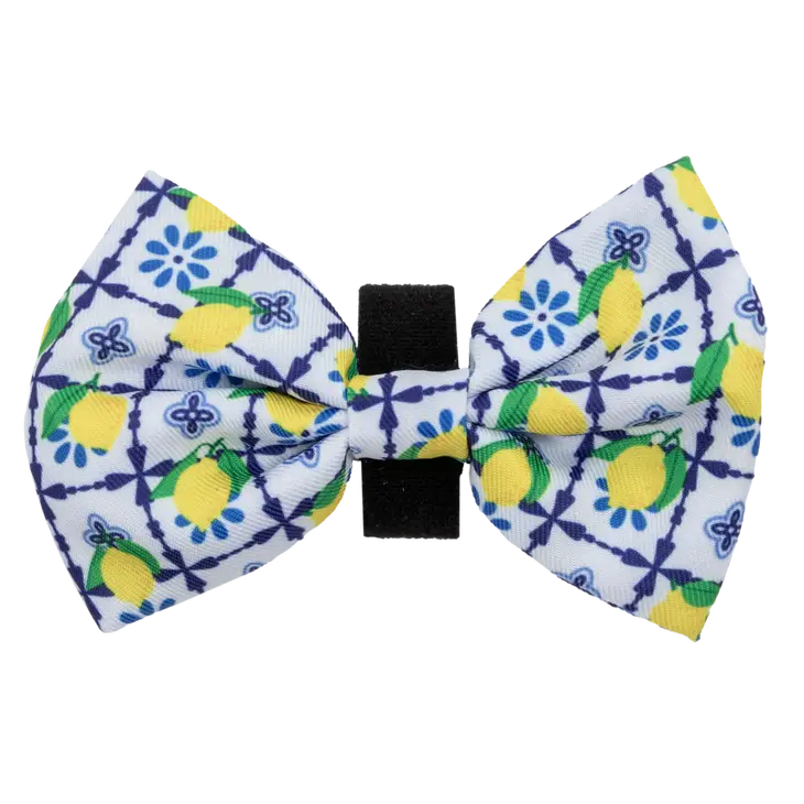 DOG COLLAR & BOW TIE: Amalfi Coast