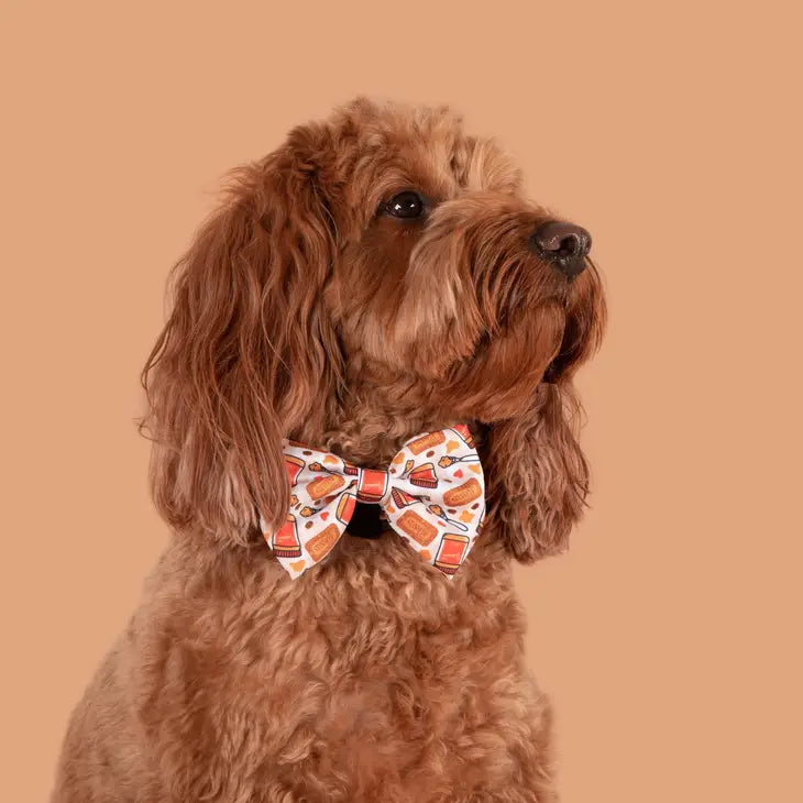 DOG COLLAR & BOW TIE: Biswoof Crunch