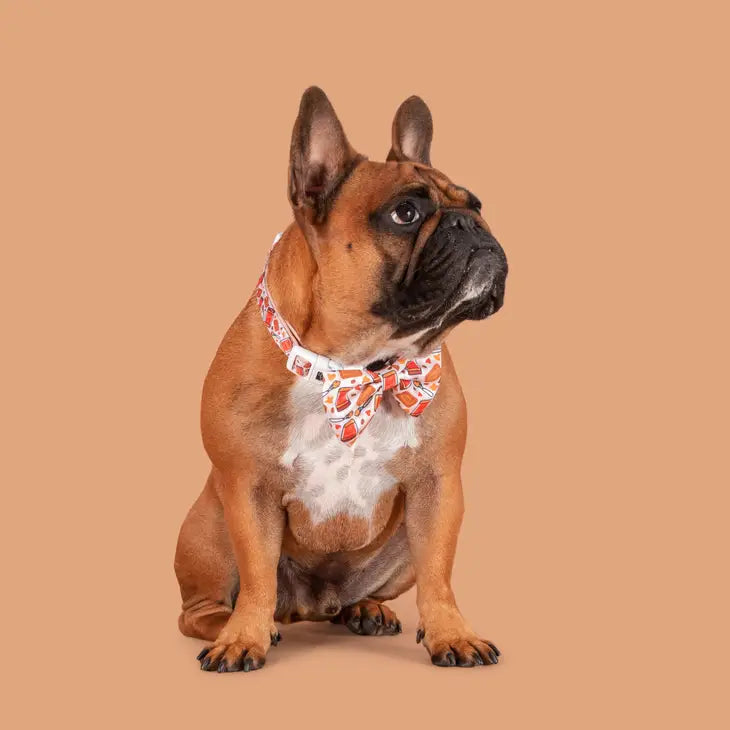 DOG COLLAR & BOW TIE: Biswoof Crunch