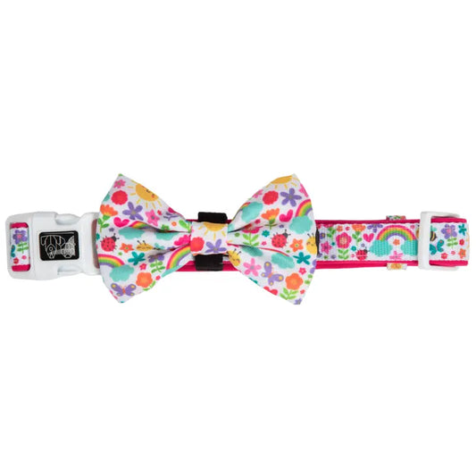 DOG COLLAR & BOW TIE: Follow The Rainbow