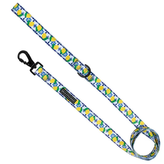 DOG LEASH: Amalfi Coast