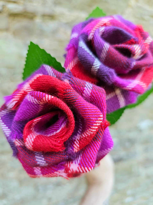 Love of Scotland Tartan Stem Rose