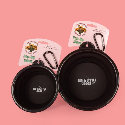 On-The-Go Pop Up Bowl  Black