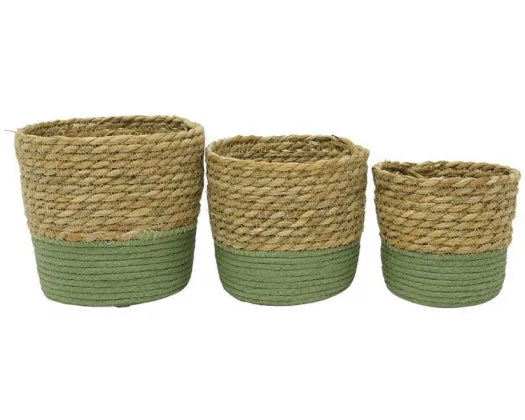 WEBSTER BASKETS - NATURAL & GREEN